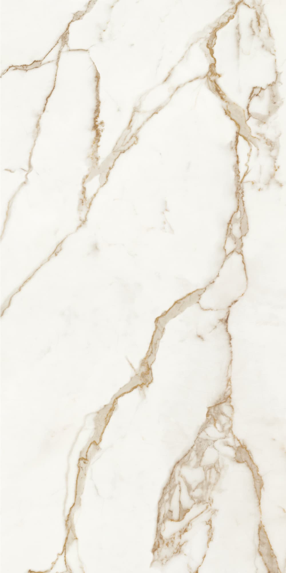 Großformatfliese Ava Calacatta Oro 120x280cm 6 mm