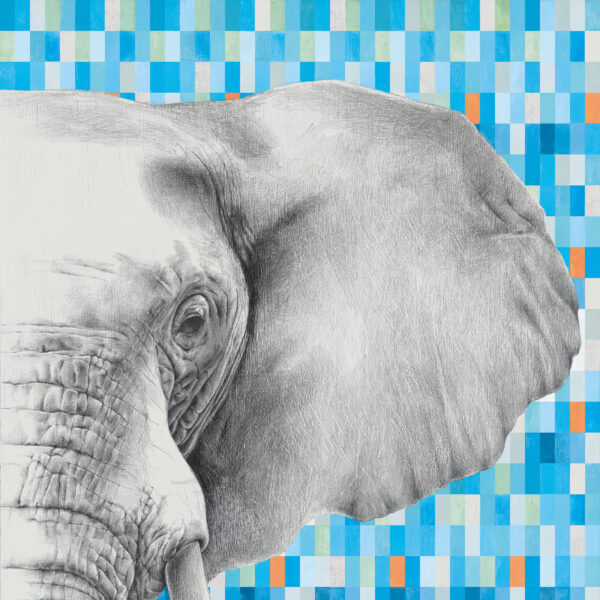 Großformatfliese Mirage Indomita Elephant 120x278cm 6 mm