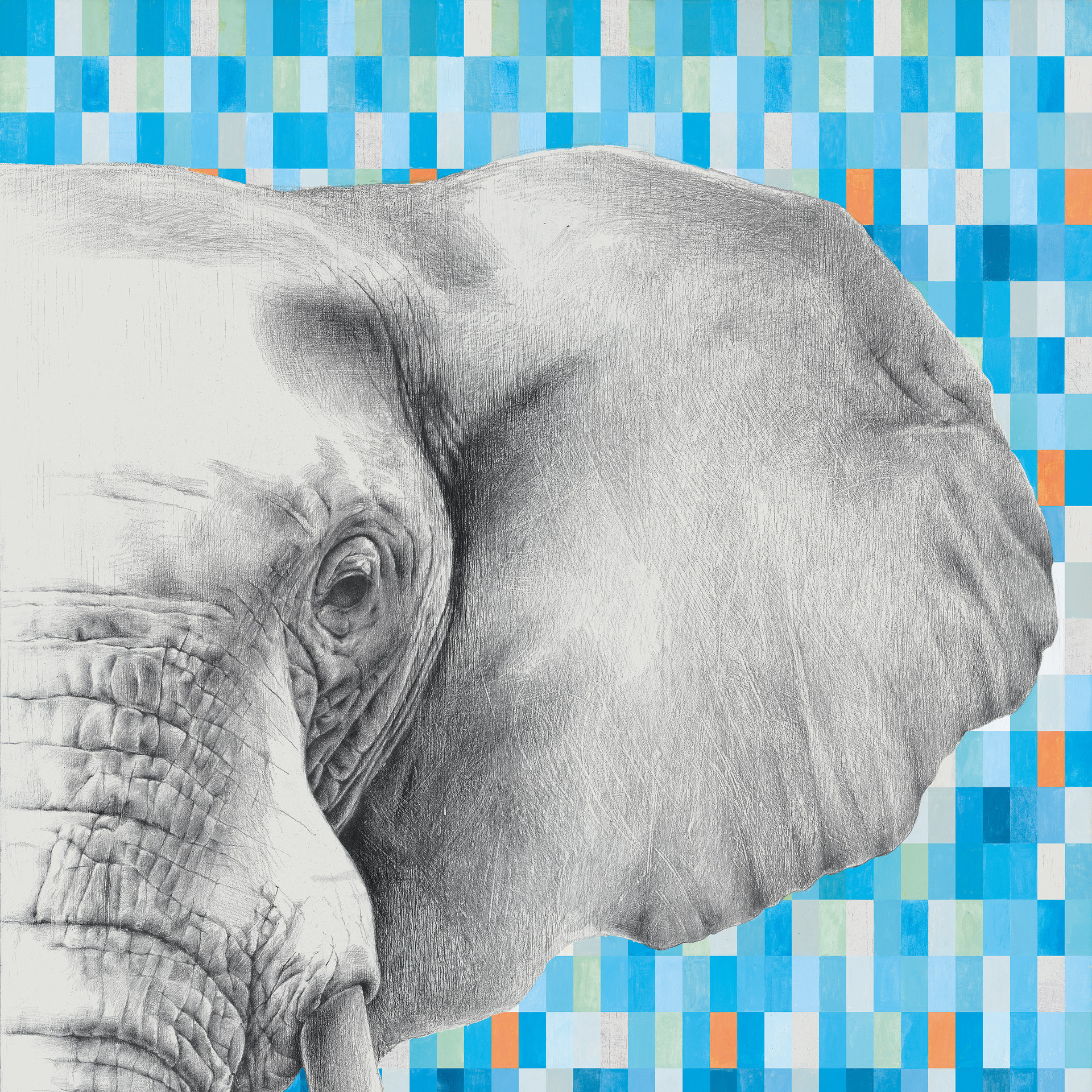 Großformatfliese Mirage Indomita Elephant 120x278cm 6 mm