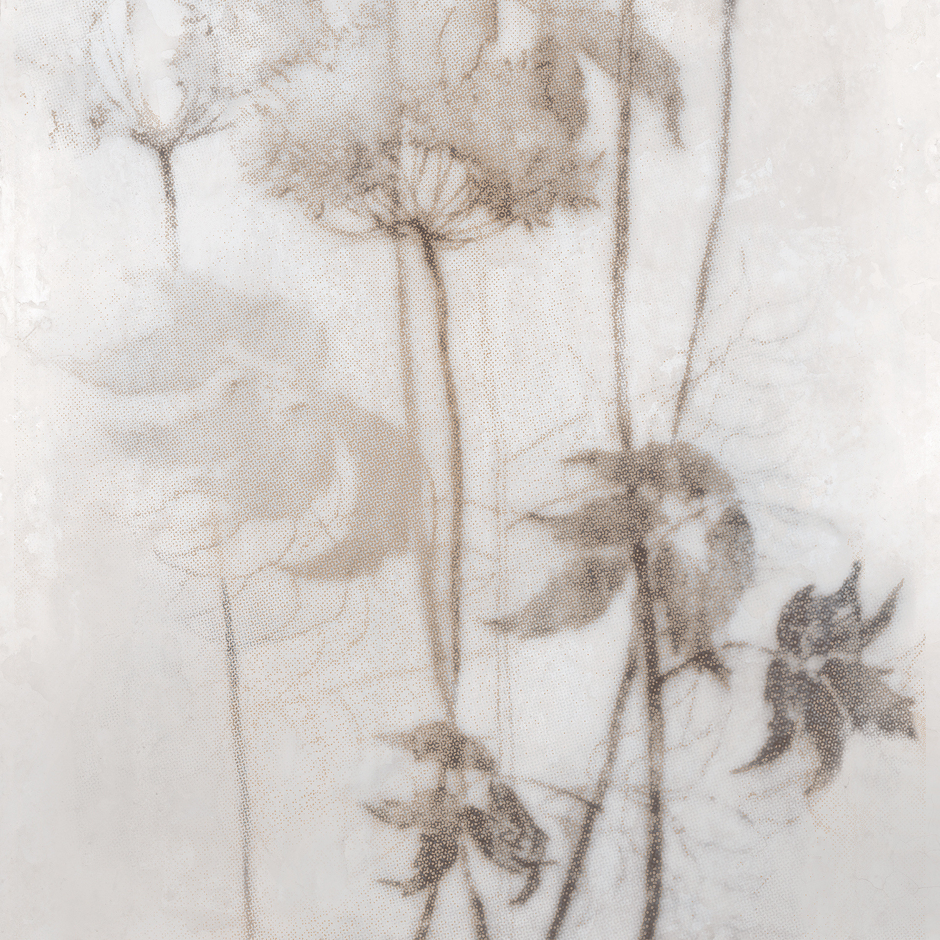 Großformatfliese Mirage Papier Espoir Chaud 120x278cm 6 mm