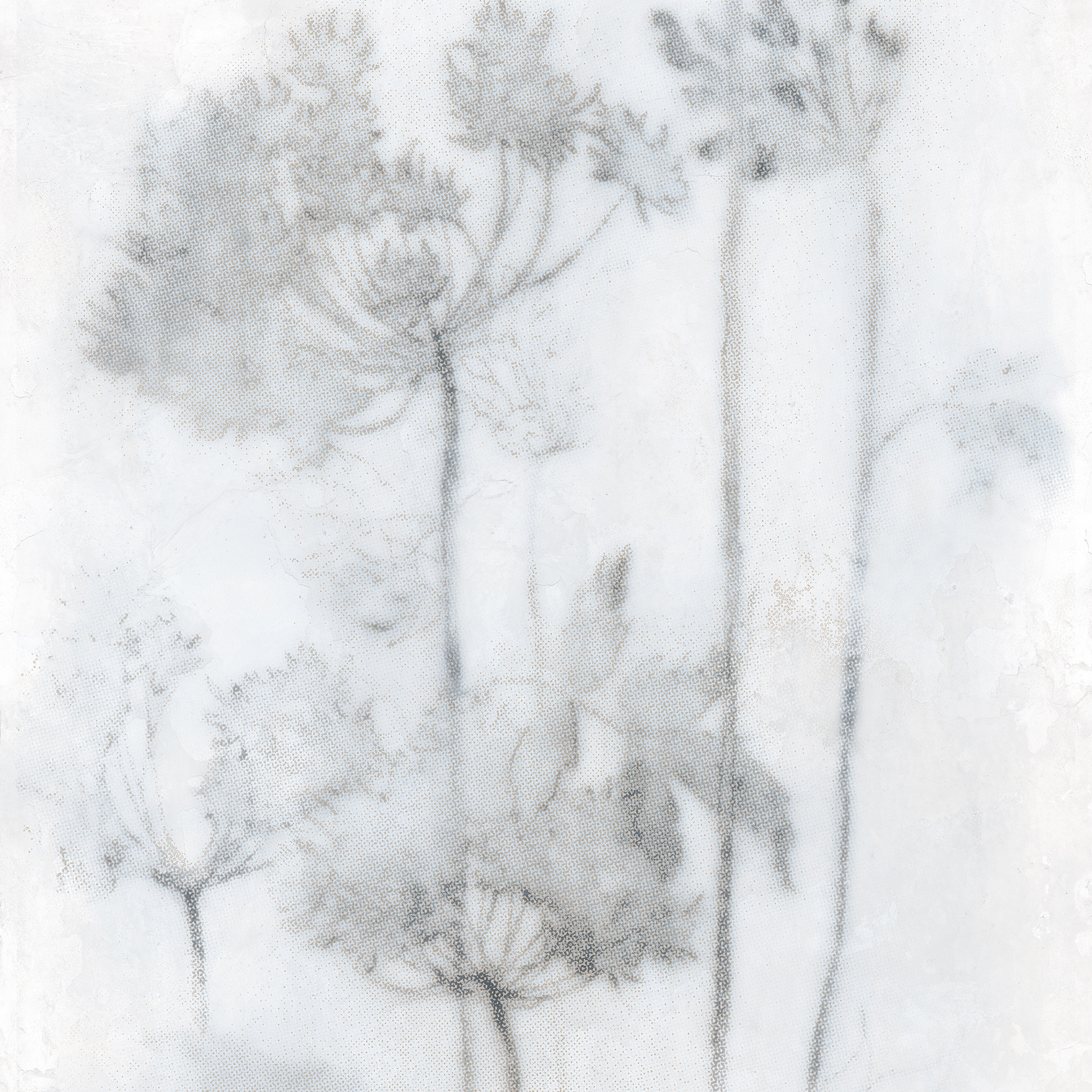 Großformatfliese Mirage Papier Espoir Froid 120x278cm 6 mm