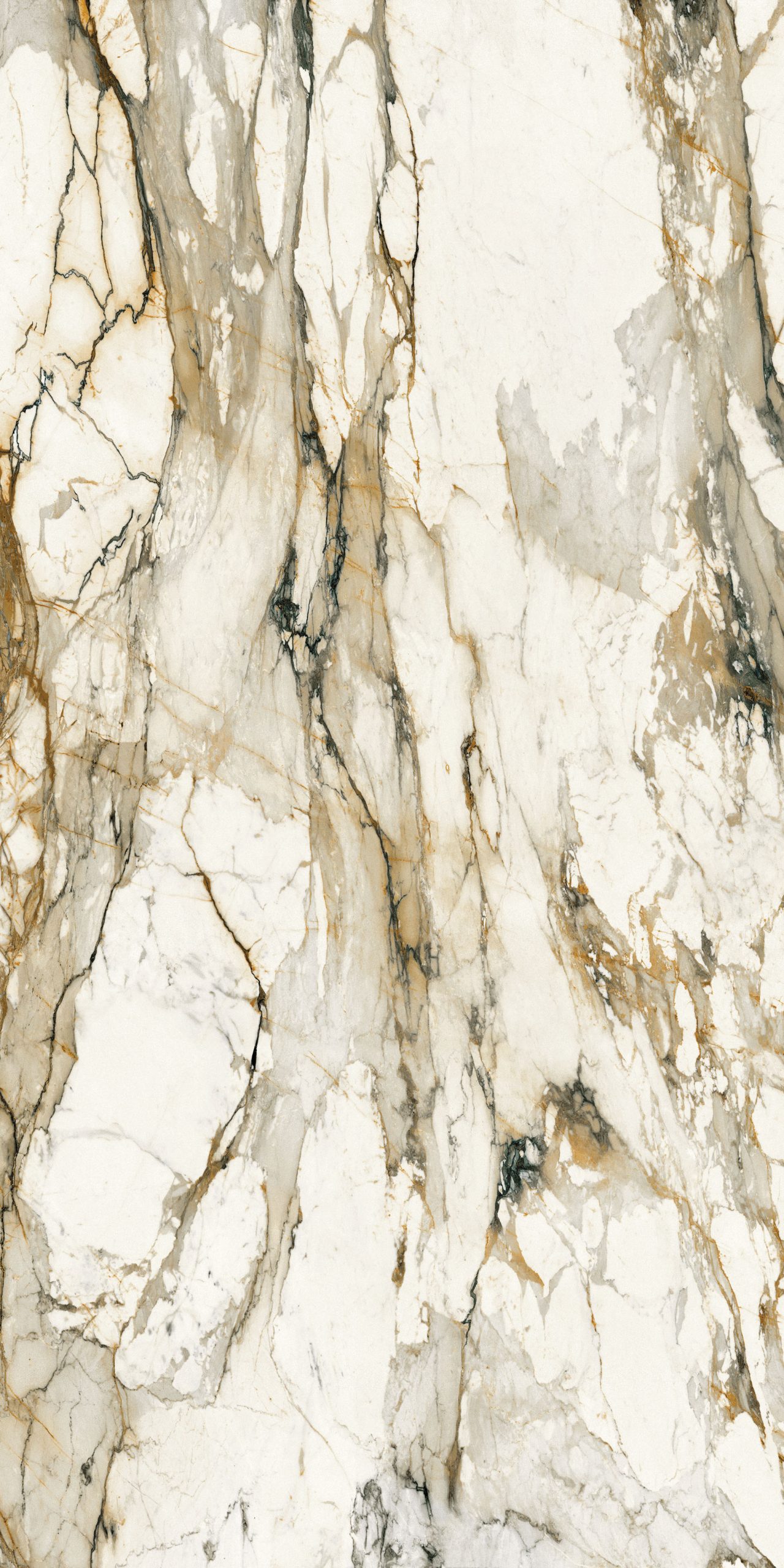 Großformatfliese Franko Calacatta Antico 160x320cm 6 mm