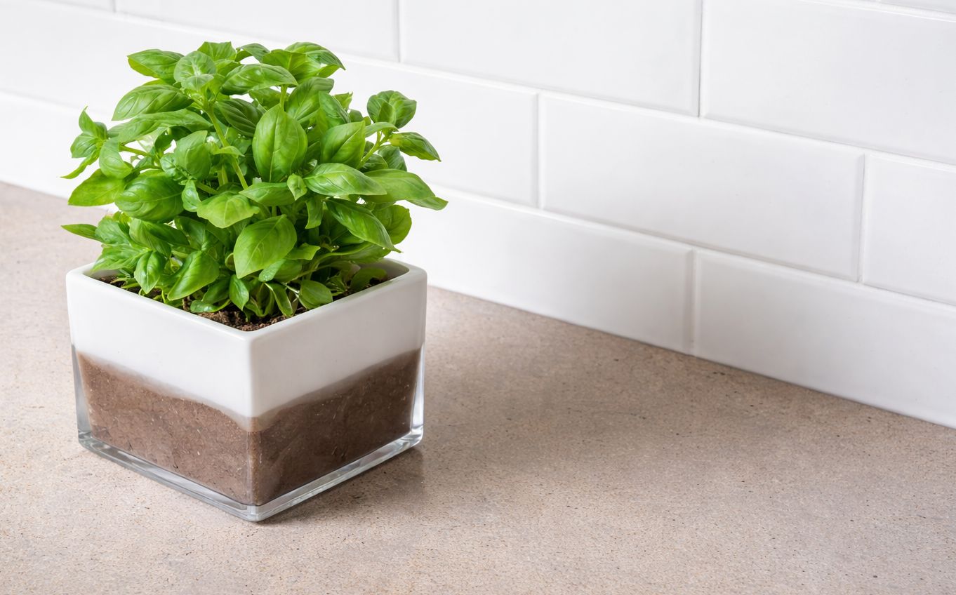 Küchenarbeitsplatte aus Konglomerat nach Maß, Grau – Caesarstone Primordia - Matt